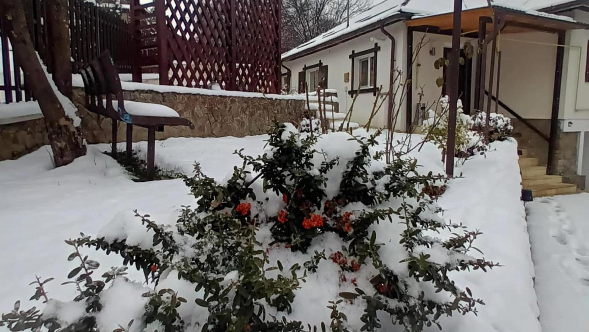 Casa Tihna Villa Băile Olăneşti Kültér fotó